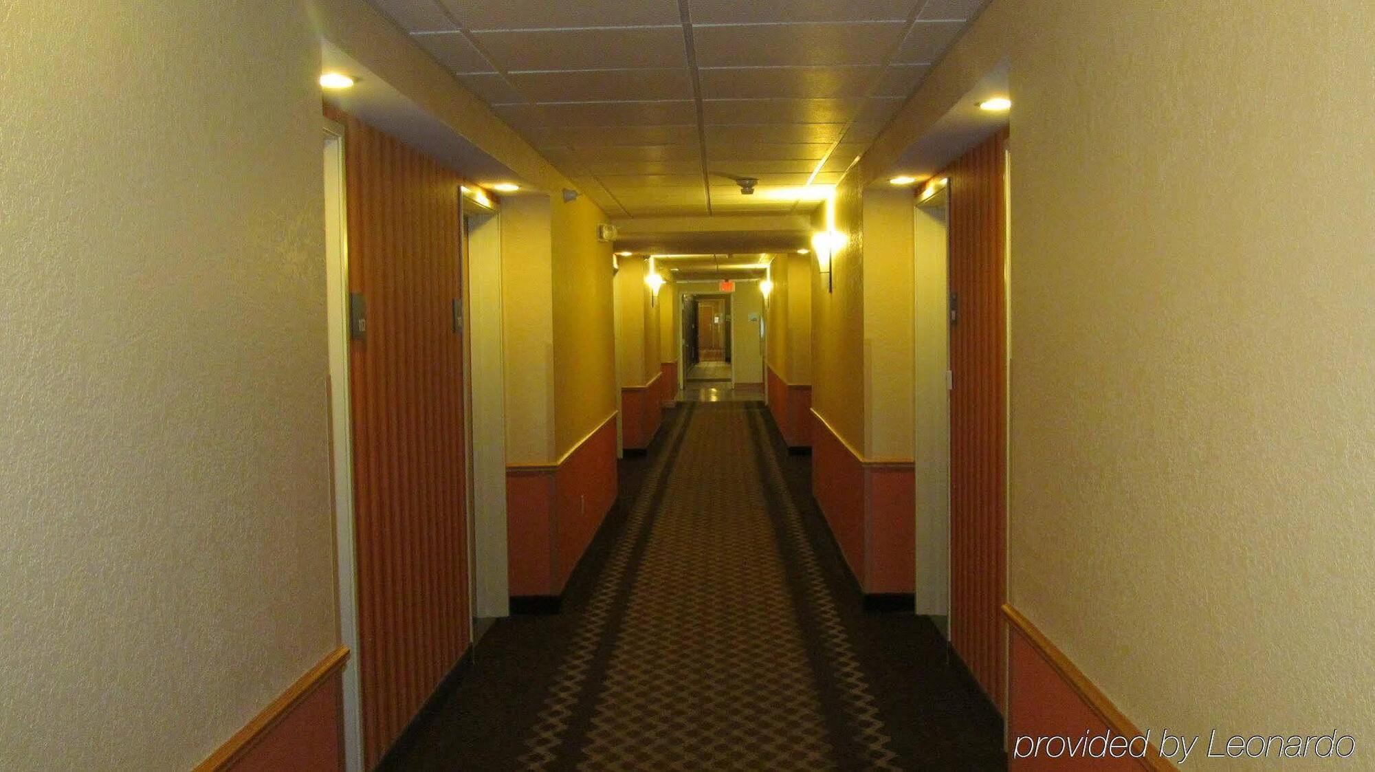 Holiday Inn Express Hotel & Suites Lexington By Ihg Kültér fotó